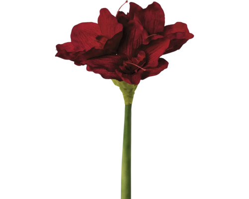 Konstväxt Amaryllis 66cm mörkröd