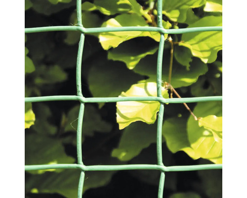 Detaljvy av ett grönt nätstängsel framför löv