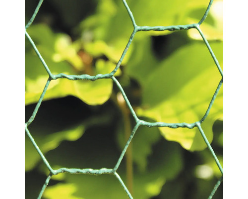 Närbild av sexkantigt nät framför växter