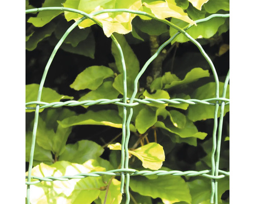 Detaljvy av ett staket av metalltråd