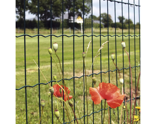 Stängsel med dubbla stavar och vallmo