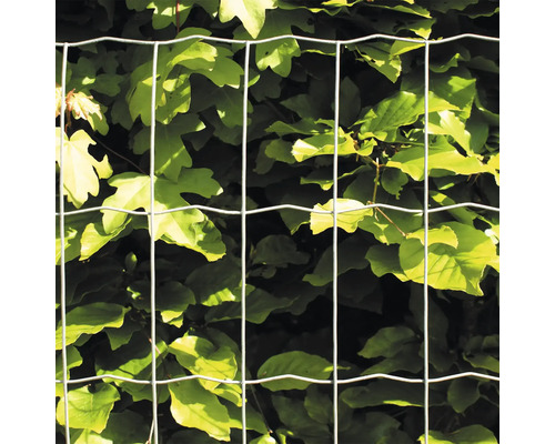 Trådnätsstängsel framför gröna växter