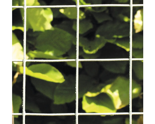 Närbild av ett metalltrådsstängsel