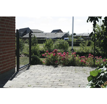 Trädgårdsstaket med grind, prydnadsväxter och gatstenar