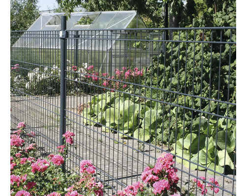 Dubbeltrådsstängsel med växthus i trädgården