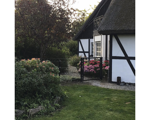 Timmerhus med trädgård och staket