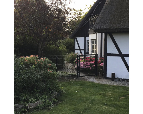 Timmerhus med halmtak och trädgårdsstaket