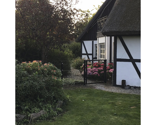 Timmerhus med trädgård och staket