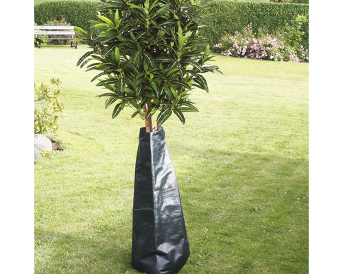 Växt med vinterskyddssäck i trädgården