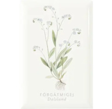 Dekorativ platta med förgätmigej-motiv