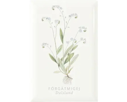 Dekorativ platta med förgätmigej-motiv