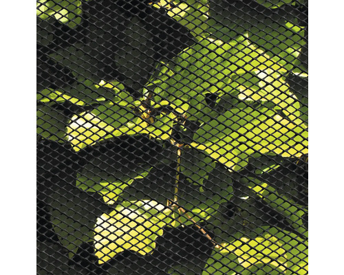 Svart trädgårdsstängselnät framför växter