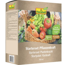 FloraSelf Plant Power startpaket med grönsaker i en korg