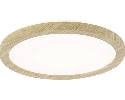 Plafond PAULMANN LED Atria Shine19cm ekfärg