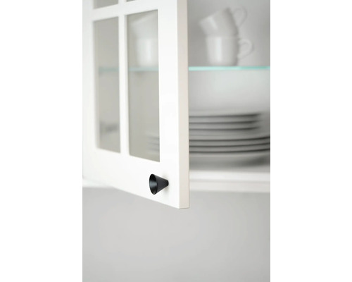 Detalj av ett köksskåp med glasdörr och ett konformat handtag.