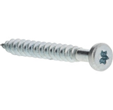 Träskruv med torx-drivning