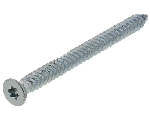Träskruv med torxdrift