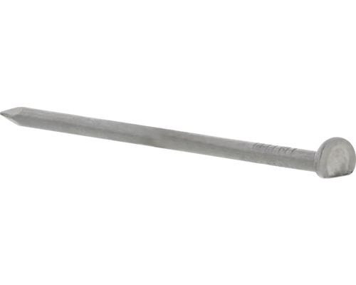 Enkel stålspik med platt huvud och vass spets