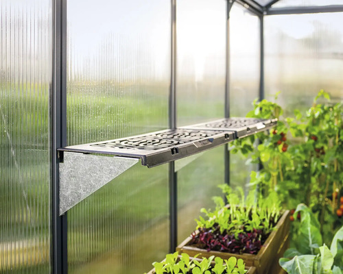 Hylla i växthuset för växtodling