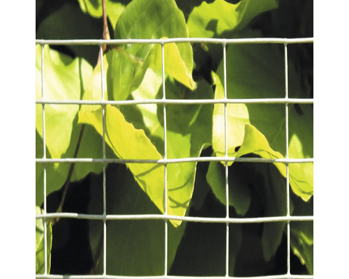 Stängselnät framför löv