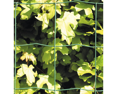 Stängsel med växtlighet