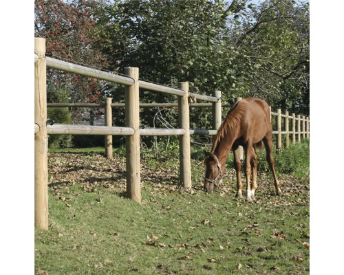 Häst på en äng bakom ett trästaket