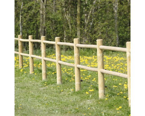 Trästaket i trädgården med gräsmatta