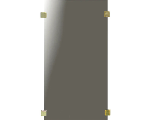 Glasstaket HORTUS 100x50cm transparent Glasstaket HORTUS 100x50cm transparent