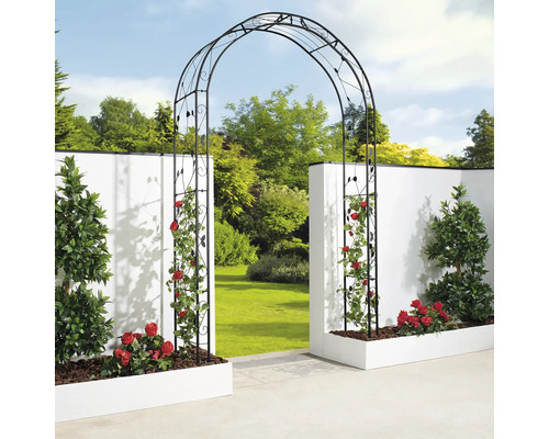 Trädgårdsvy med rosenbåge, rosor och blomlådor