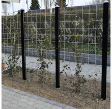 Stängsel med trådnät, vegetation och stolpar