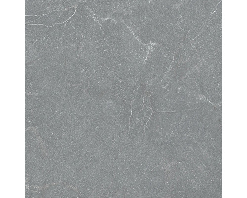 Grå keramisk platta med matt yta