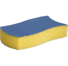Slipsvamp med sandpappersyta