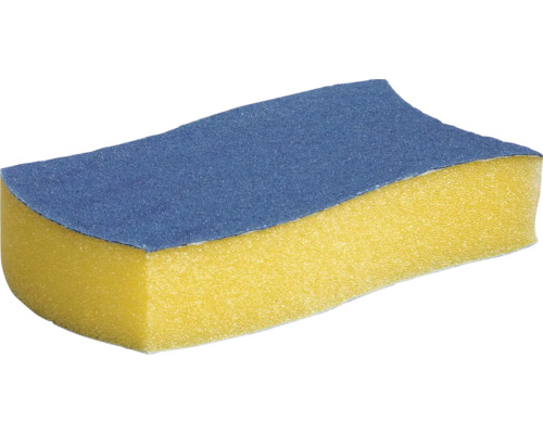 Slipsvamp med sandpappersyta