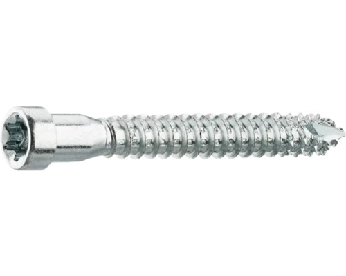 Skruv för karmhylsa THURESSON FASTENING 8x65mm förzinkad 50-pack