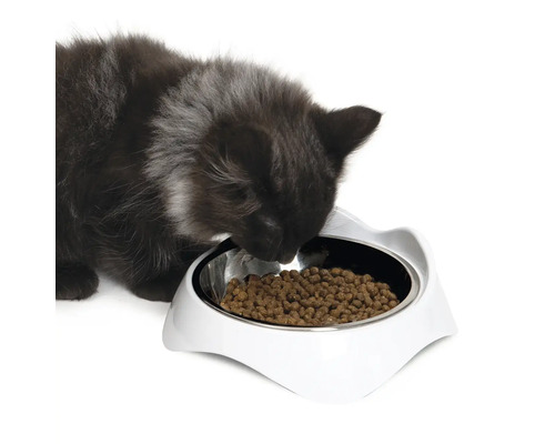En katt äter ur en vit matskål för katter.
