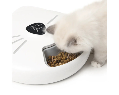 Katt äter från en automatisk matskål