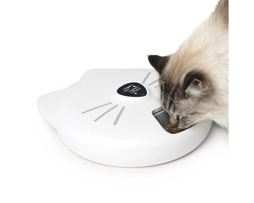 Katt äter från en automatisk matare