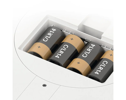 Fyra C LR14-batterier i ett batterifack