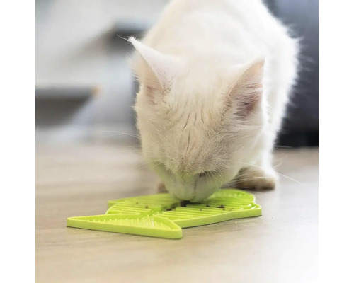 Vit katt äter från ett grönt foderpussel