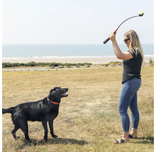 Kvinna kastar boll med bollslunga för hund på stranden