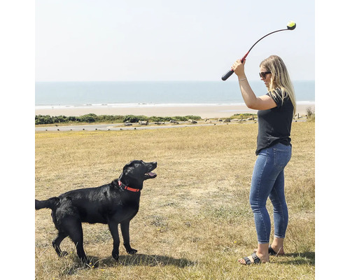 Kvinna kastar boll med bollslunga för hund på stranden