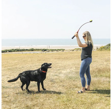 Kvinna kastar boll med bollkastare för en hund