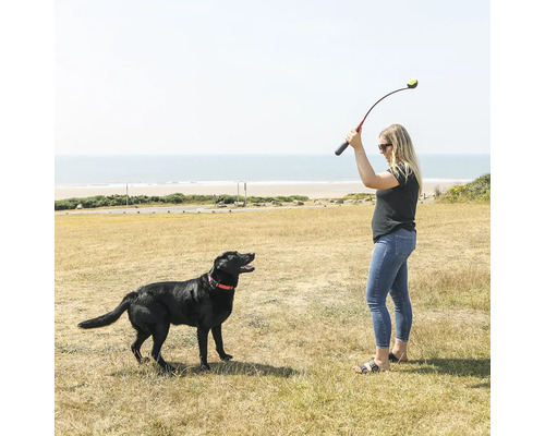 Kvinna kastar boll med bollkastare för en hund