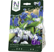Blomsterlökar NELSON GARDEN Lovely Match Hyacint Muscari Scilla Crocus Spring Blues 45st-thumb-0