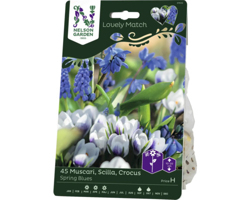 Blomsterlökar NELSON GARDEN Lovely Match Hyacint Muscari Scilla Crocus Spring Blues 45st-0