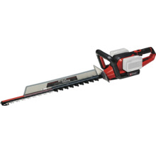 Einhell batteridriven häcksax