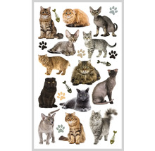 Klistermärke med kattmotiv