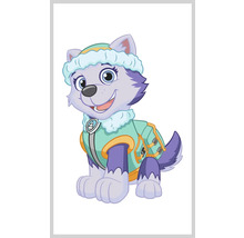 Illustration av Paw Patrol Everest