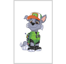 Illustration av Rocky från Paw Patrol med keps och återvinningssymbol