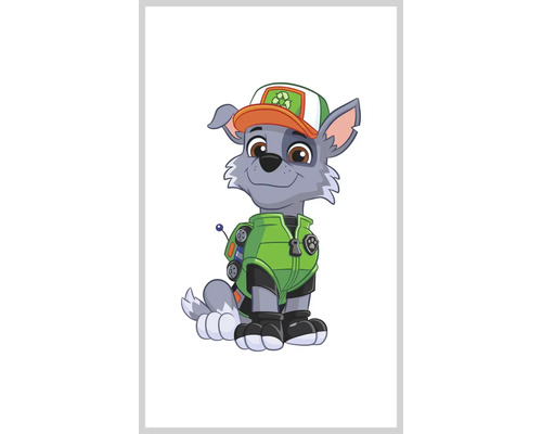 Illustration av Rocky från Paw Patrol med keps och återvinningssymbol